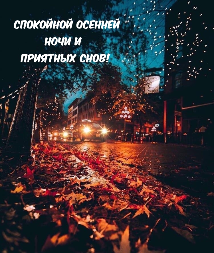 Спокойной осенней ночи и приятных снов!