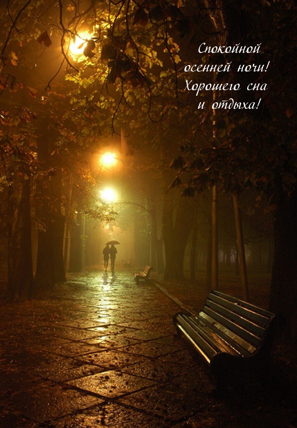 Спокойной осенней ночи! Хорошего сна и отдыха!
