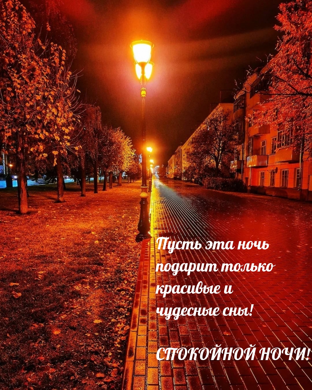Пусть эта ночь подарит только красивые и чудесные сны!