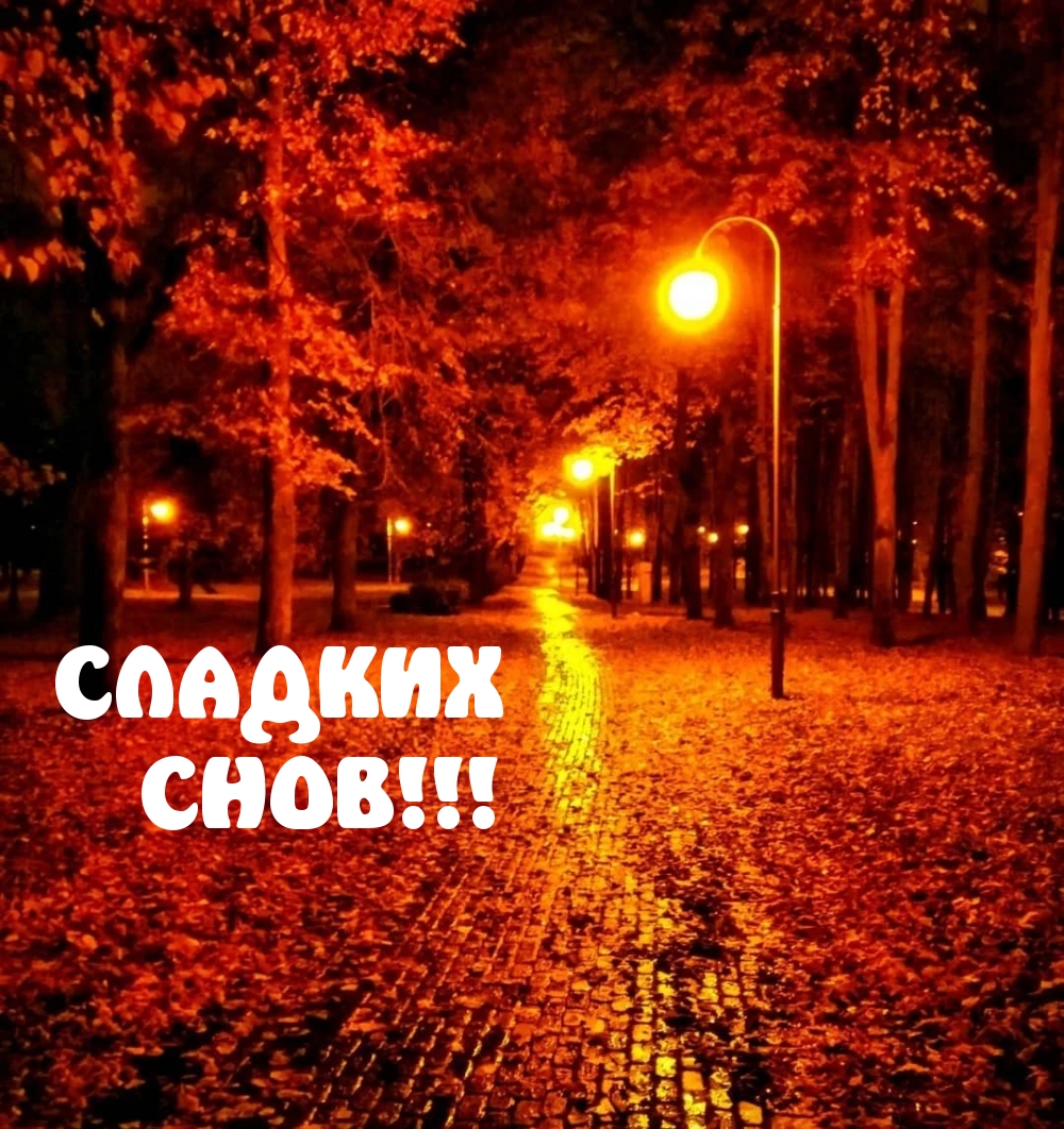 СЛАДКИХ СНОВ!