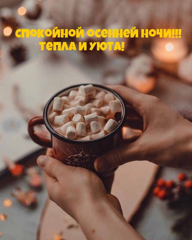 Спокойной осенней ночи! Тепла и уюта!