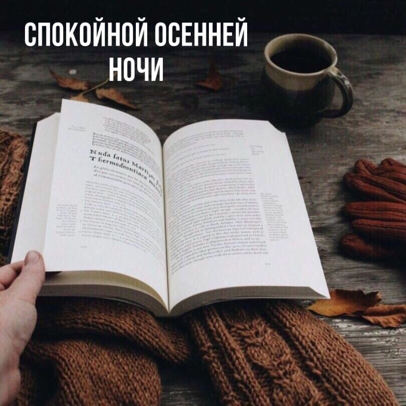 Спокойной осенней ночи