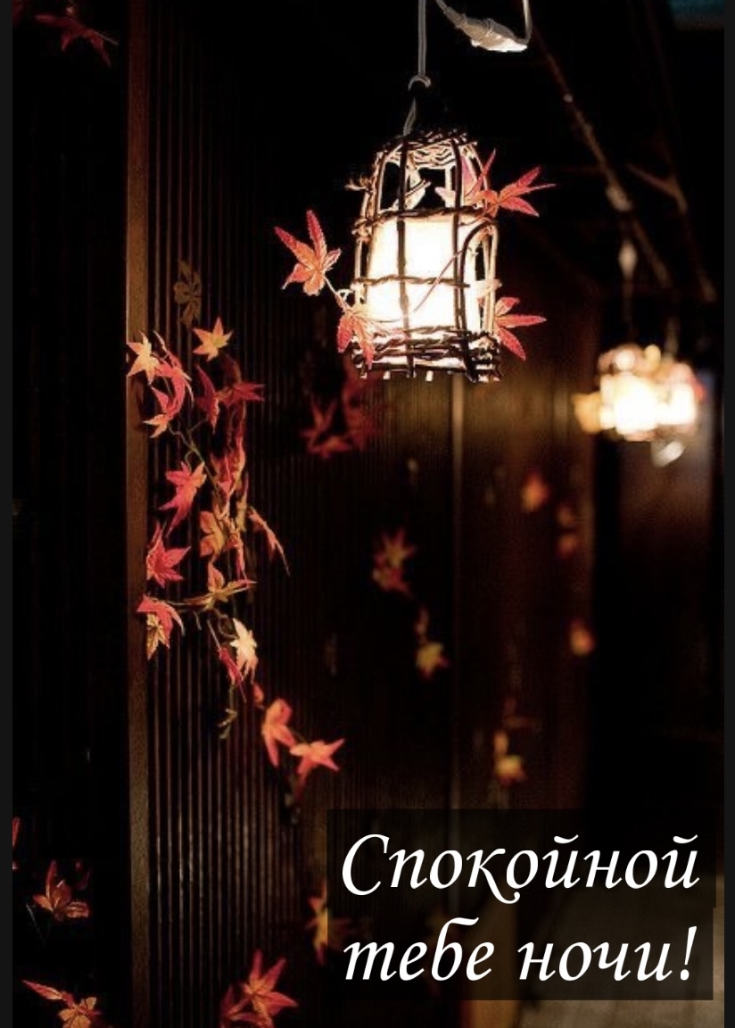Спокойной тебе ночи!