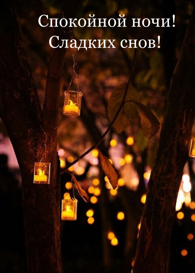 Спокойной ночи! Сладких снов!