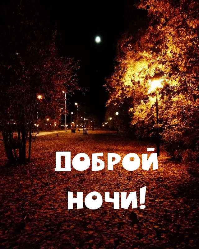 Доброй Ночи!