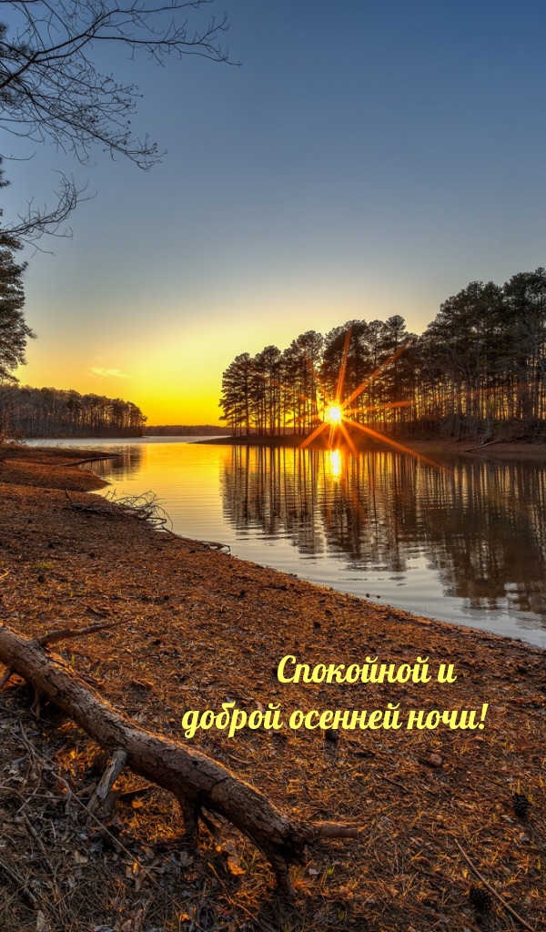 Спокойной и доброй осенней ночи!
