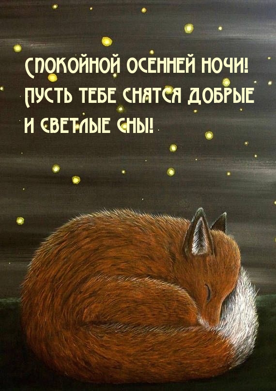 Пусть тебе снятся добрые и светлые сны!