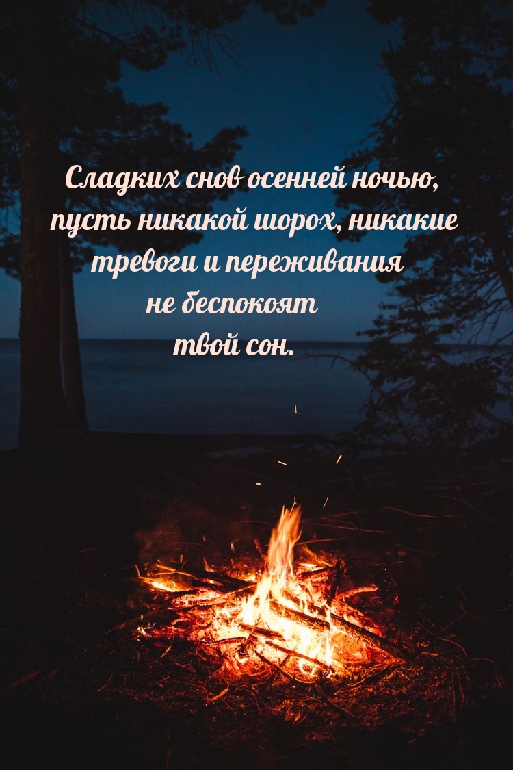 Сладких снов осенней ночью