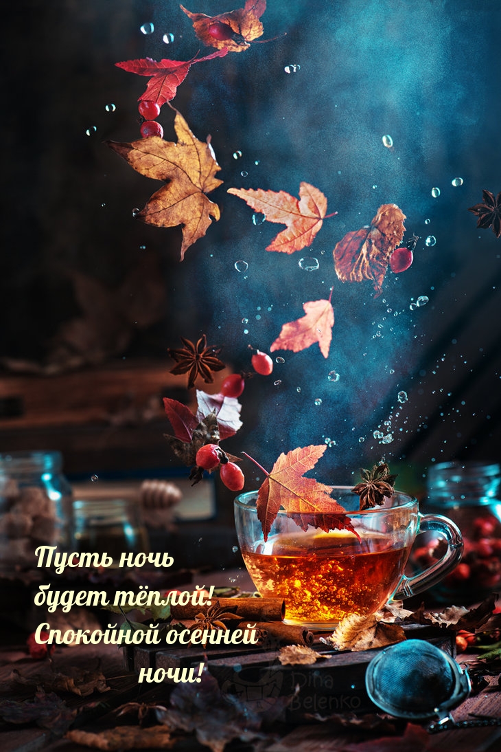 Пусть ночь будет тёплой! Спокойной осенней ночи!
