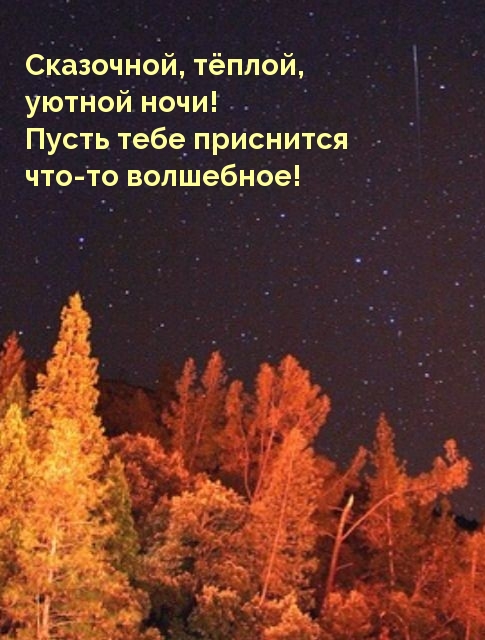 Сказочной, тёплой, уютной ночи!