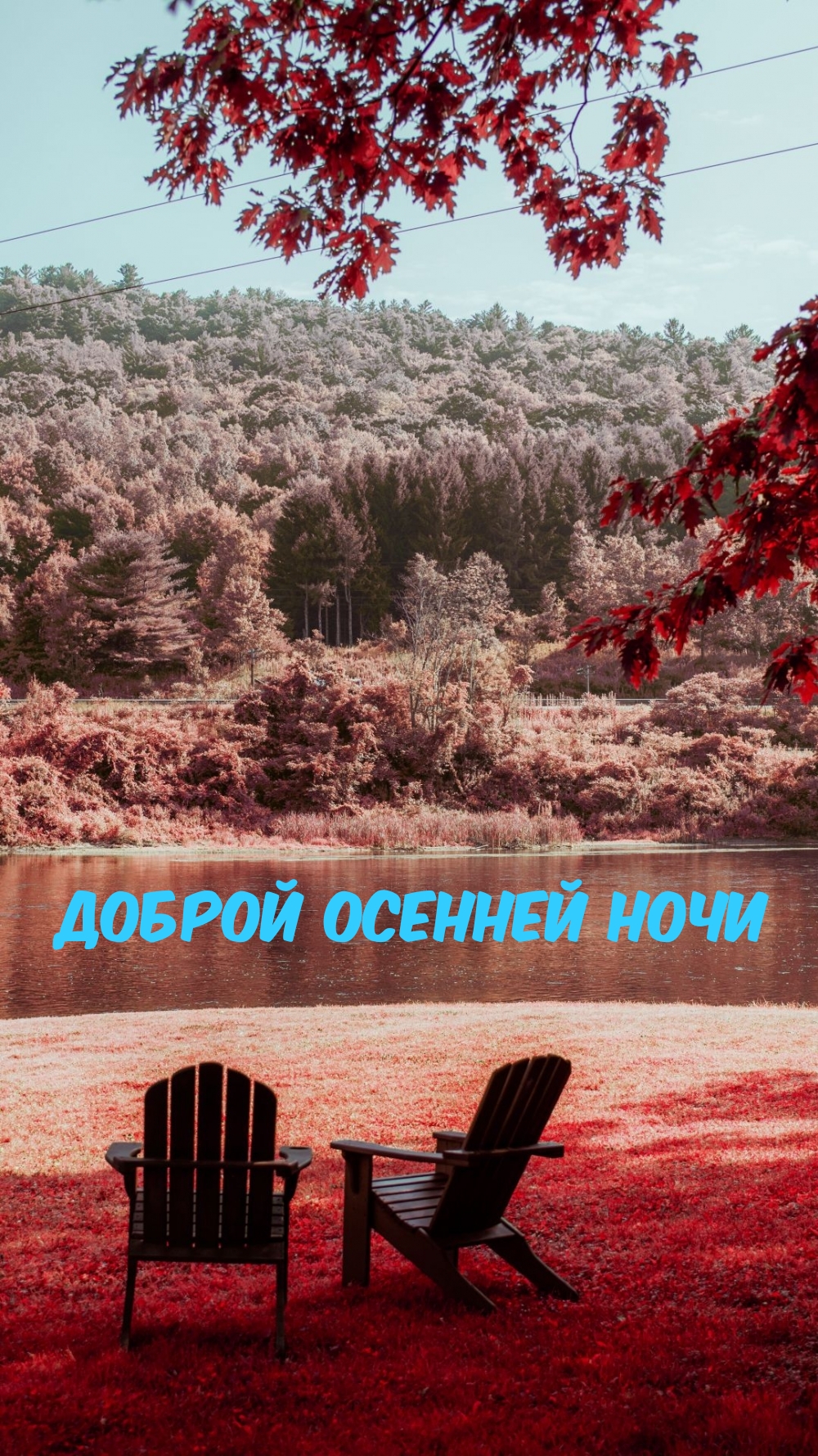Доброй осенней ночи