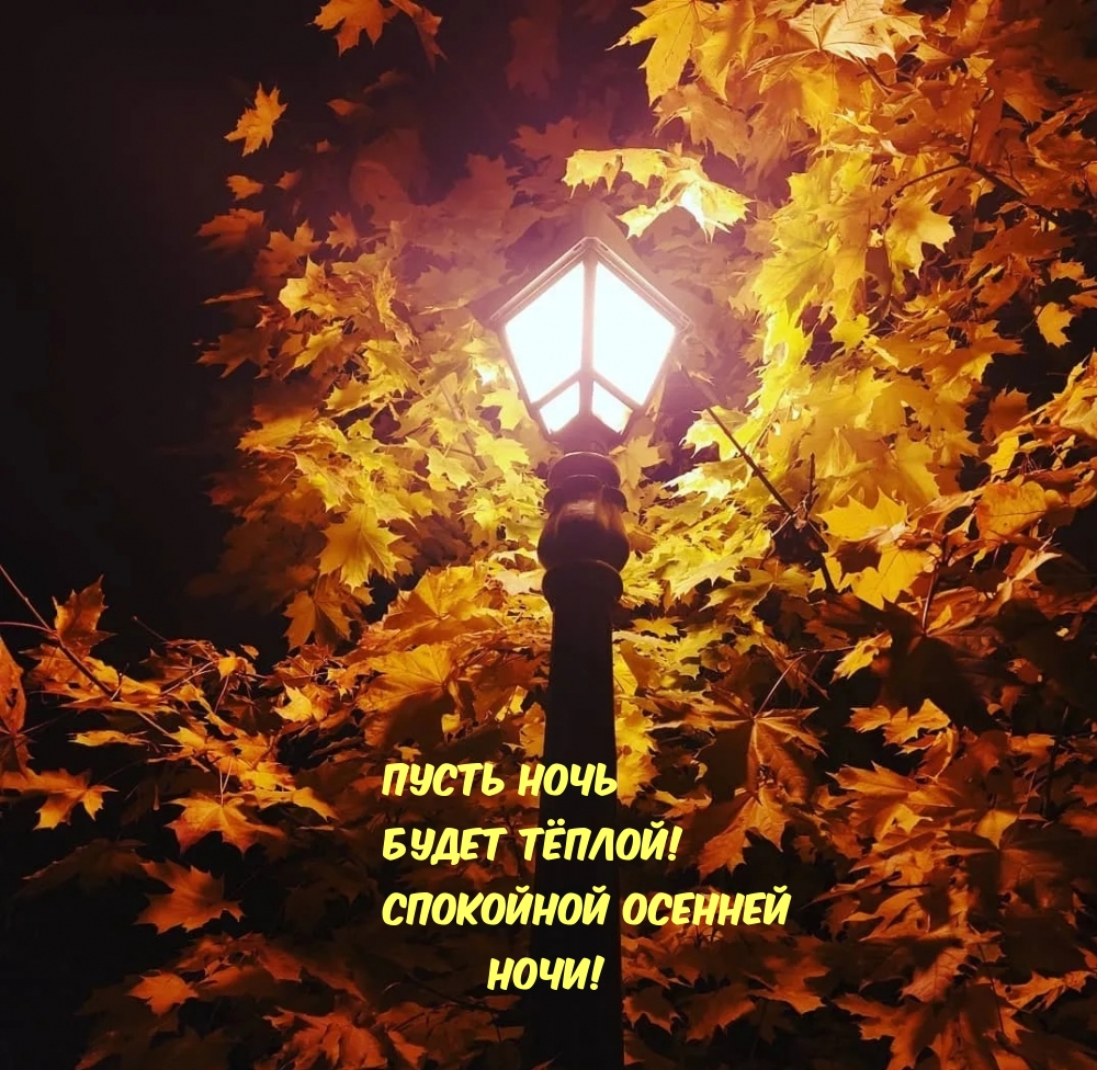 Пусть ночь будет тёплой! Спокойной осенней ночи!