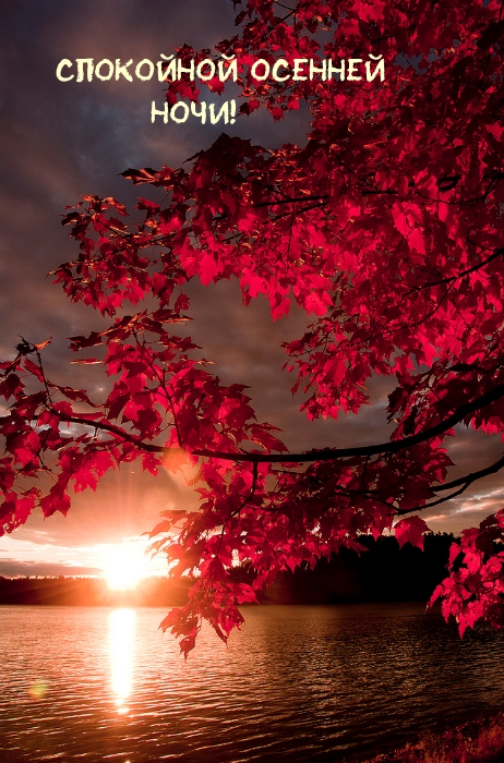 Спокойной осенней ночи!