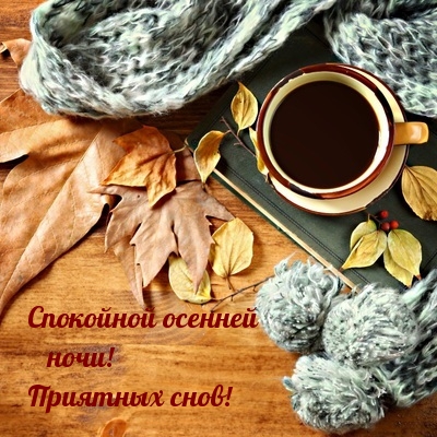Спокойной осенней ночи! Приятных снов!