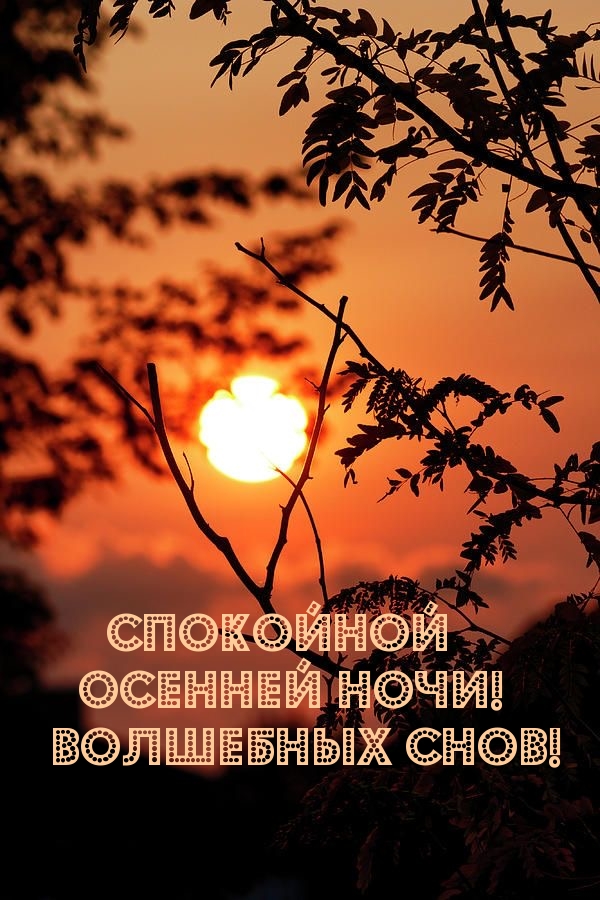 Спокойной осенней ночи! Волшебных снов!