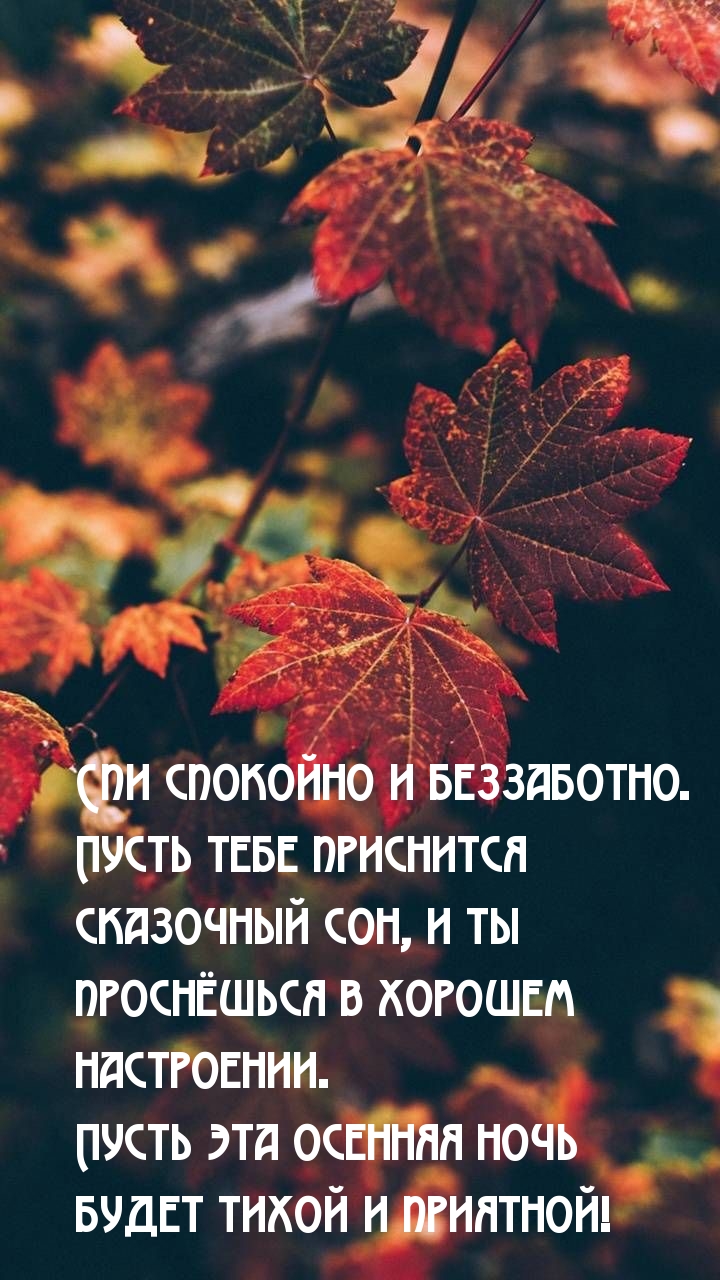 Спи спокойно и беззаботно.