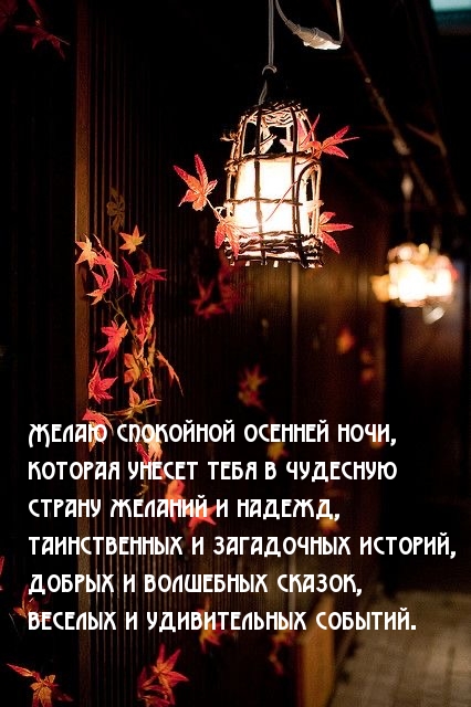 Желаю спокойной осенней ночи