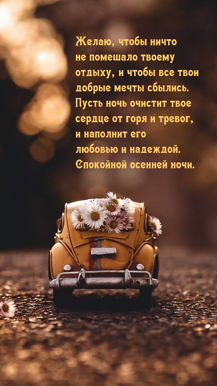Желаю, чтобы ничто не помешало твоему отдыху