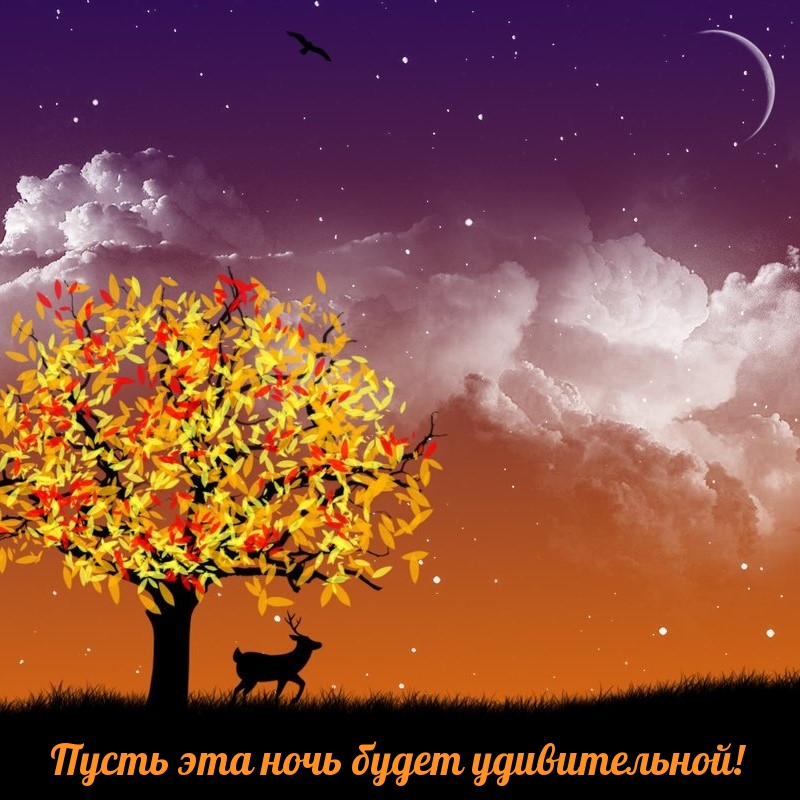 Пусть эта ночь будет удивительной!
