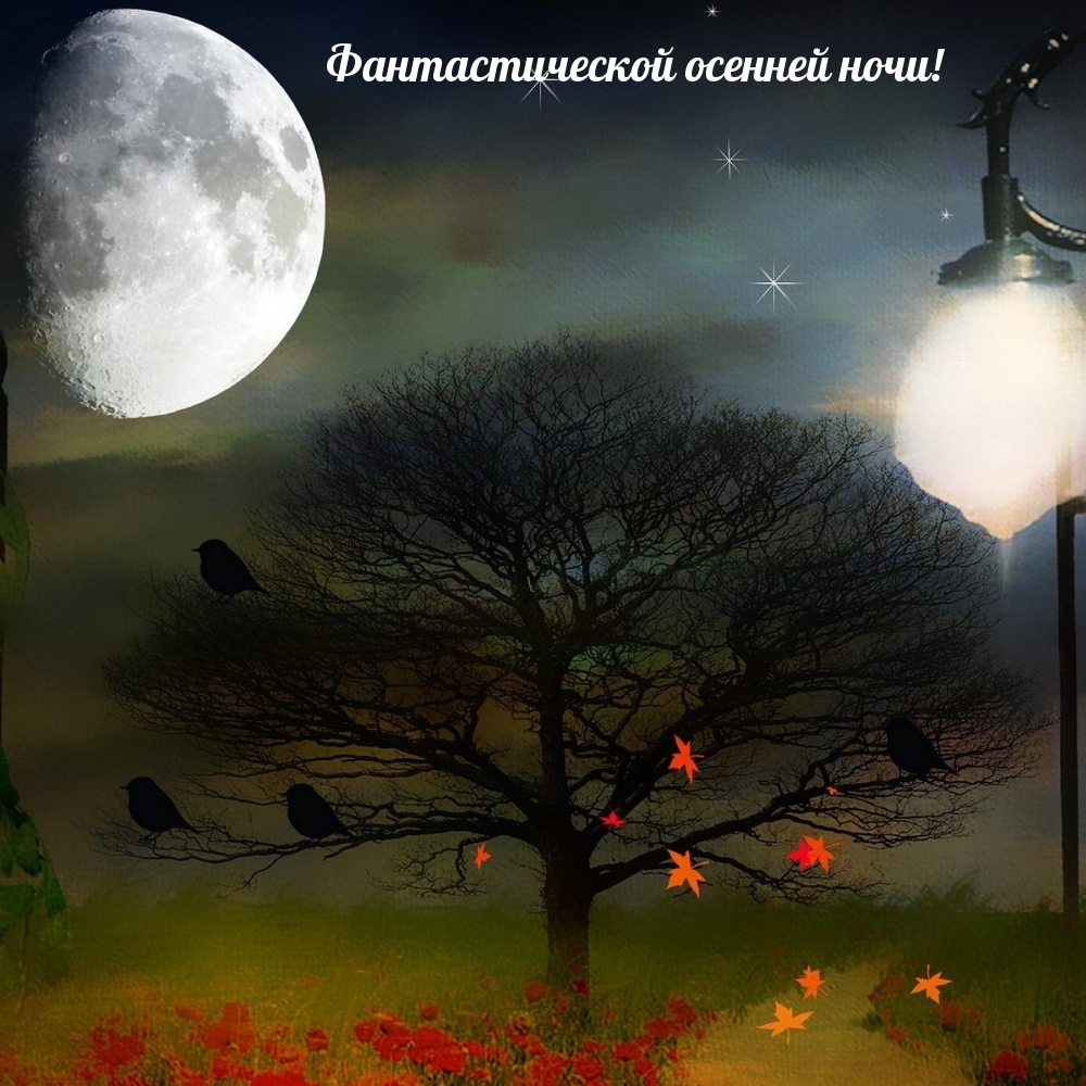 Фантастической осенней ночи!