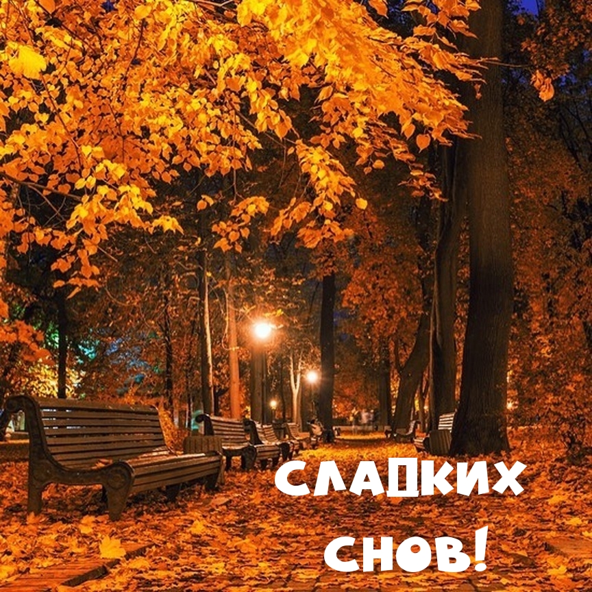 Сладких снов!