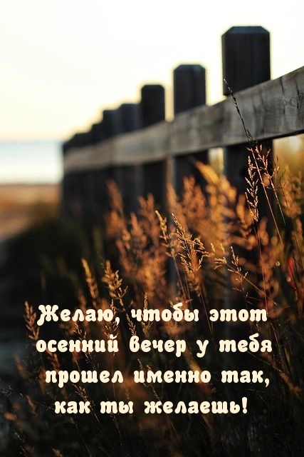 Желаю, чтобы этот осенний вечер у тебя прошел так, как ты желаешь!