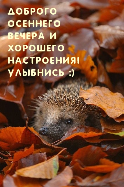 Доброго осеннего вечера и хорошего настроения!