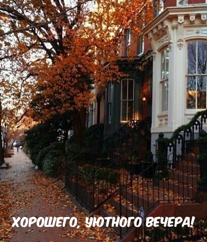 Хорошего, уютного вечера!