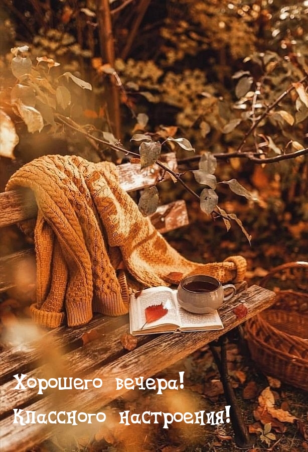 Хорошего вечера! Классного настроения!