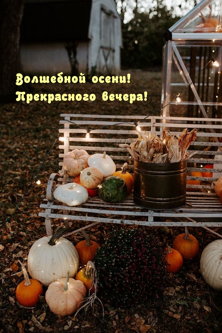 Волшебной осени! Прекрасного вечера!