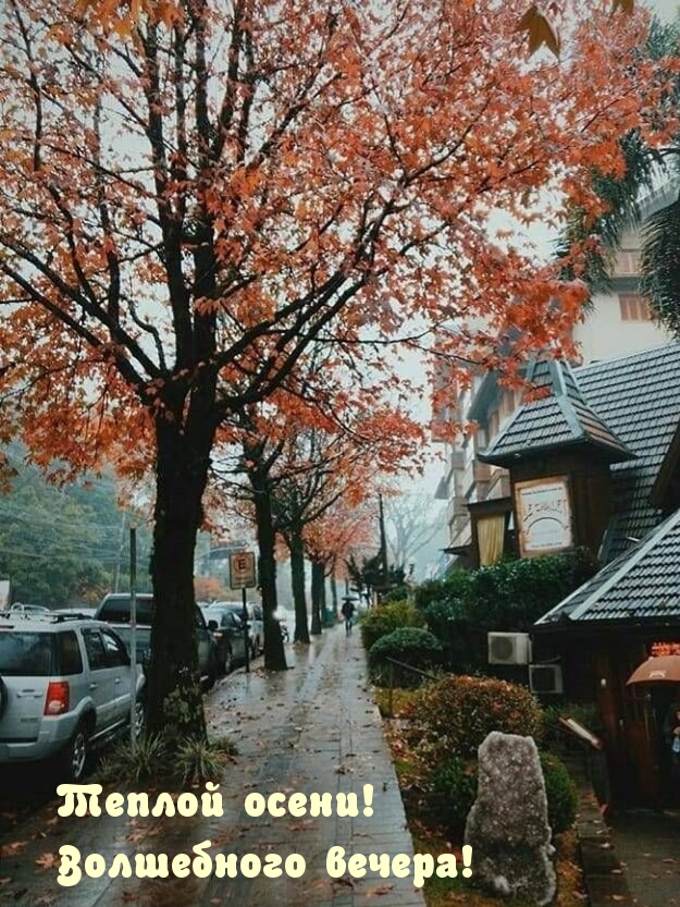 Теплой осени! Волшебного вечера!