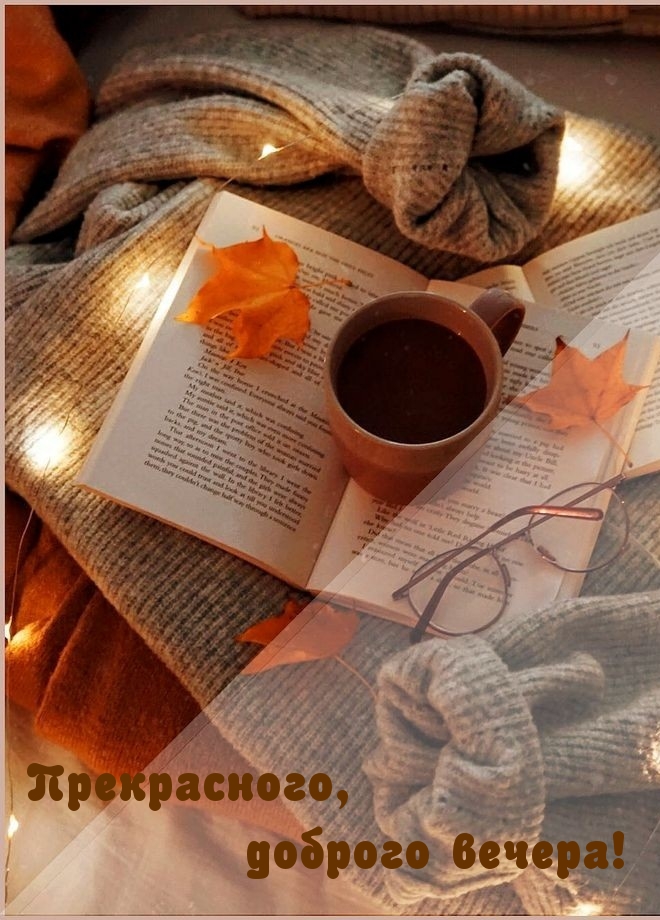 Прекрасного, доброго вечера!