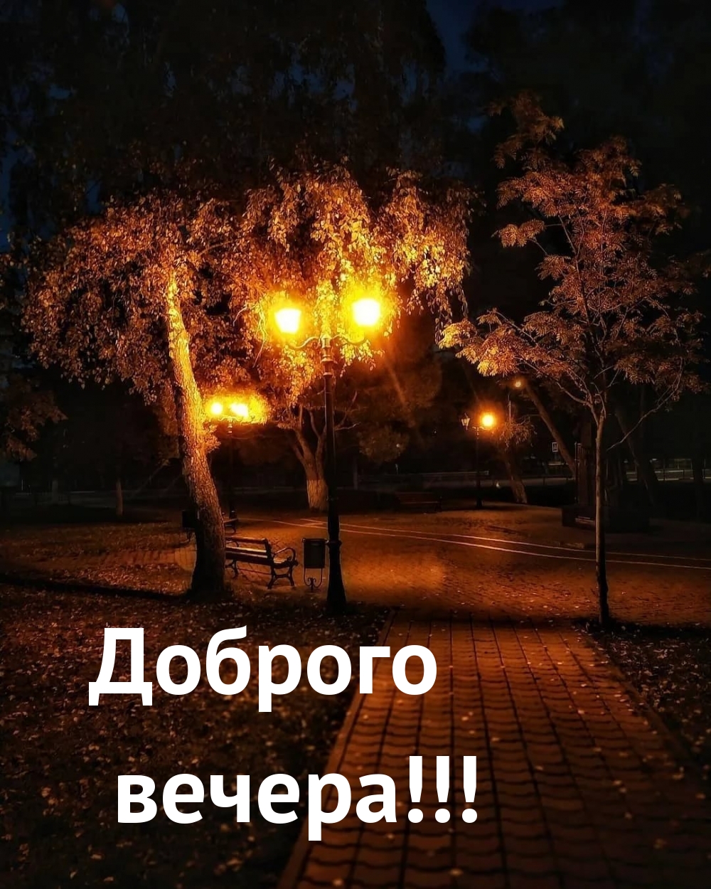 Доброго вечера!