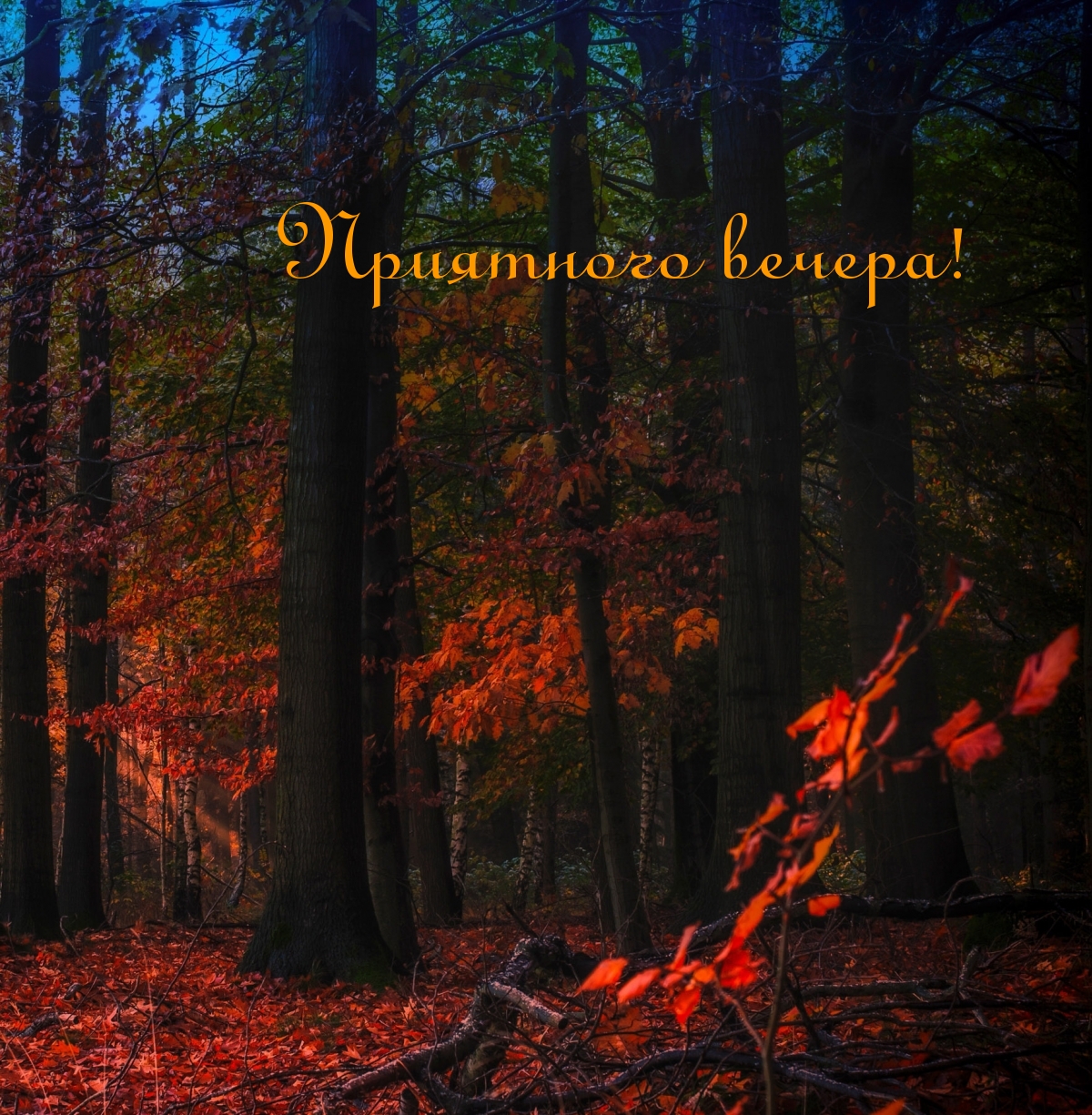 Приятного вечера!