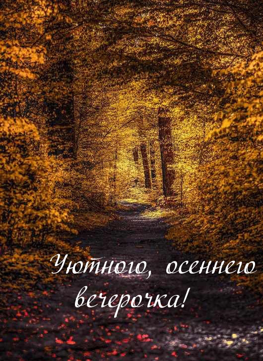 Уютного, осеннего вечерочка!