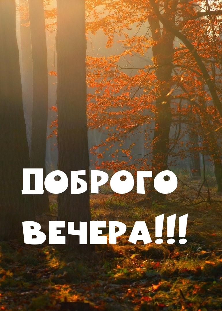 Доброго вечера!