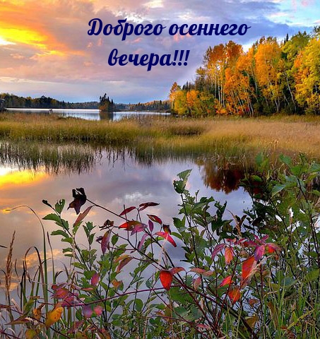 Доброго осеннего вечера!