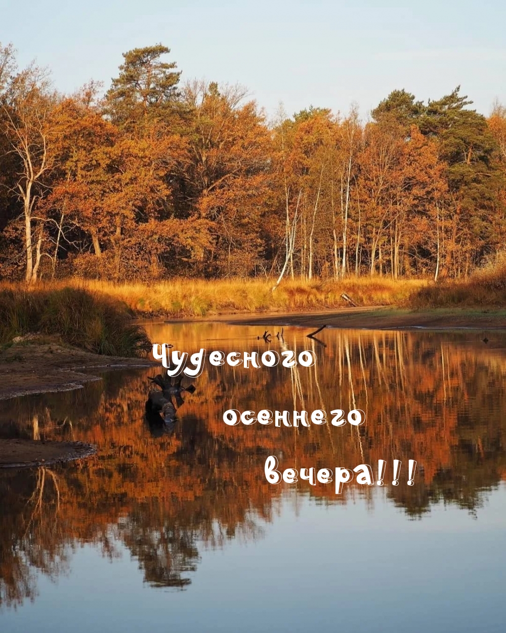 Чудесного осеннего вечера!