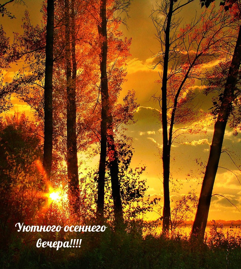 Уютного осеннего вечера!