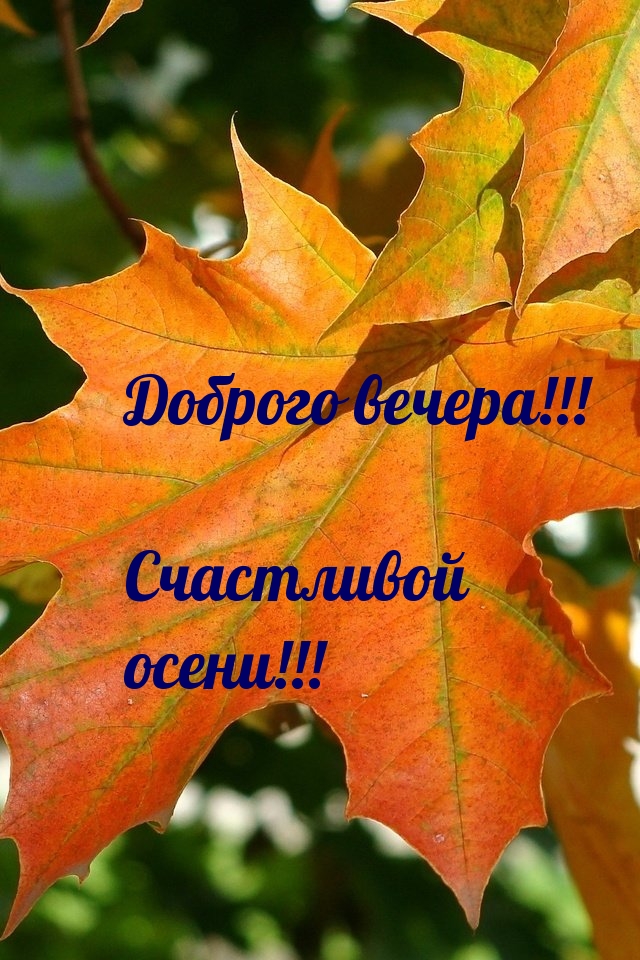 Доброго вечера! Счастливой осени!