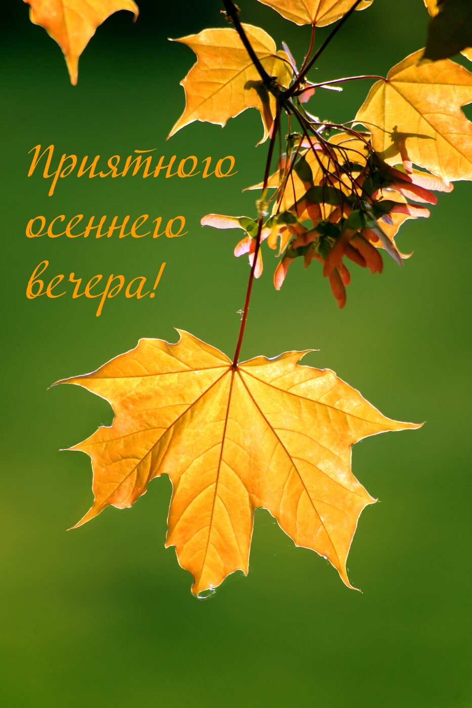 Приятного осеннего вечера!