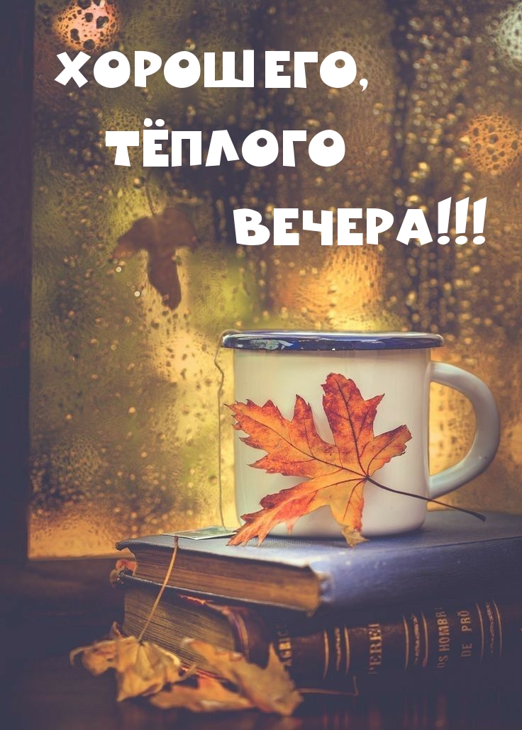Хорошего, тёплого вечера!