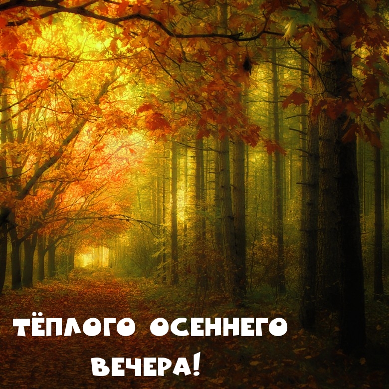 Тёплого осеннего вечера!