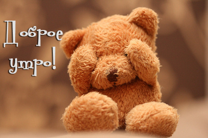 Доброе утро! Мишка