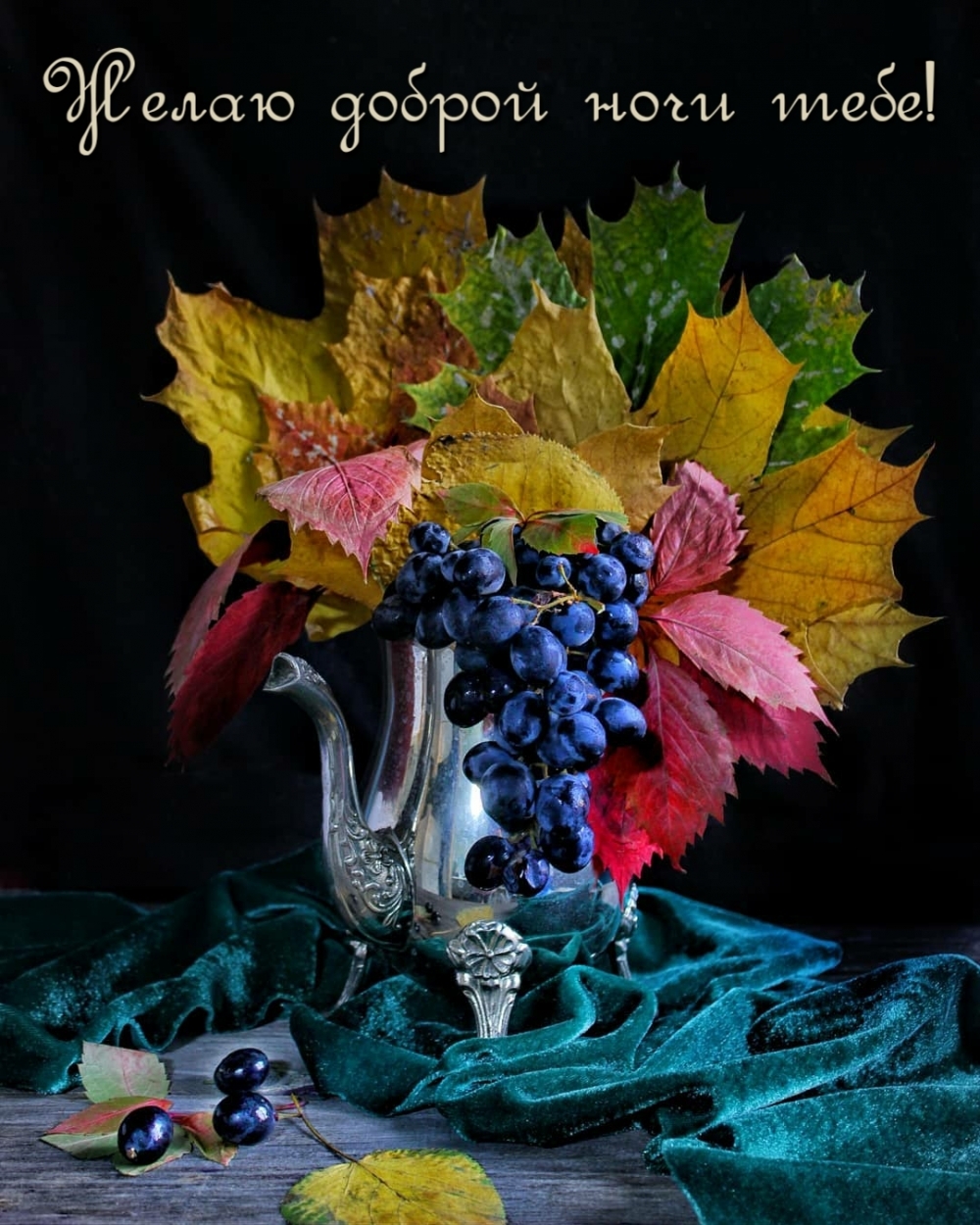 Желаю доброй ночи тебе!