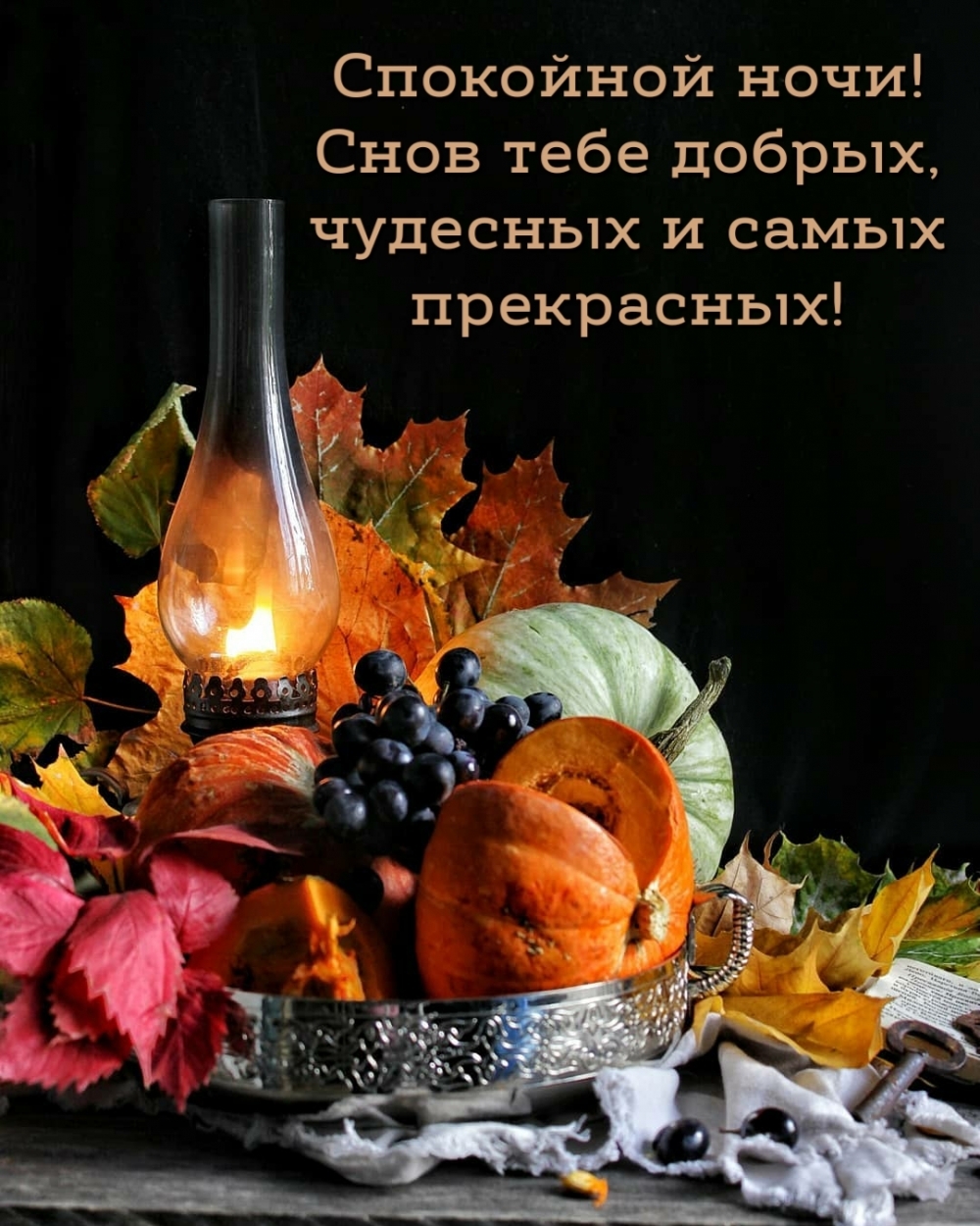 Спокойной ночи! Снов тебе добрых