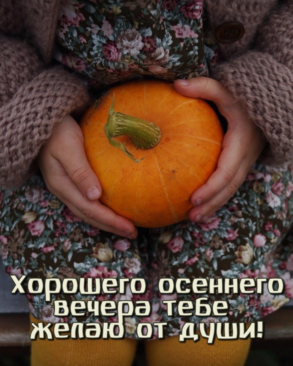 Хорошего осеннего вечера тебе желаю от души!