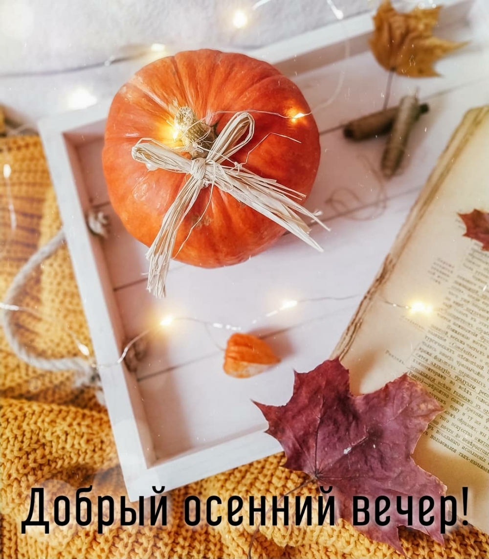 Добрый осенний вечер!
