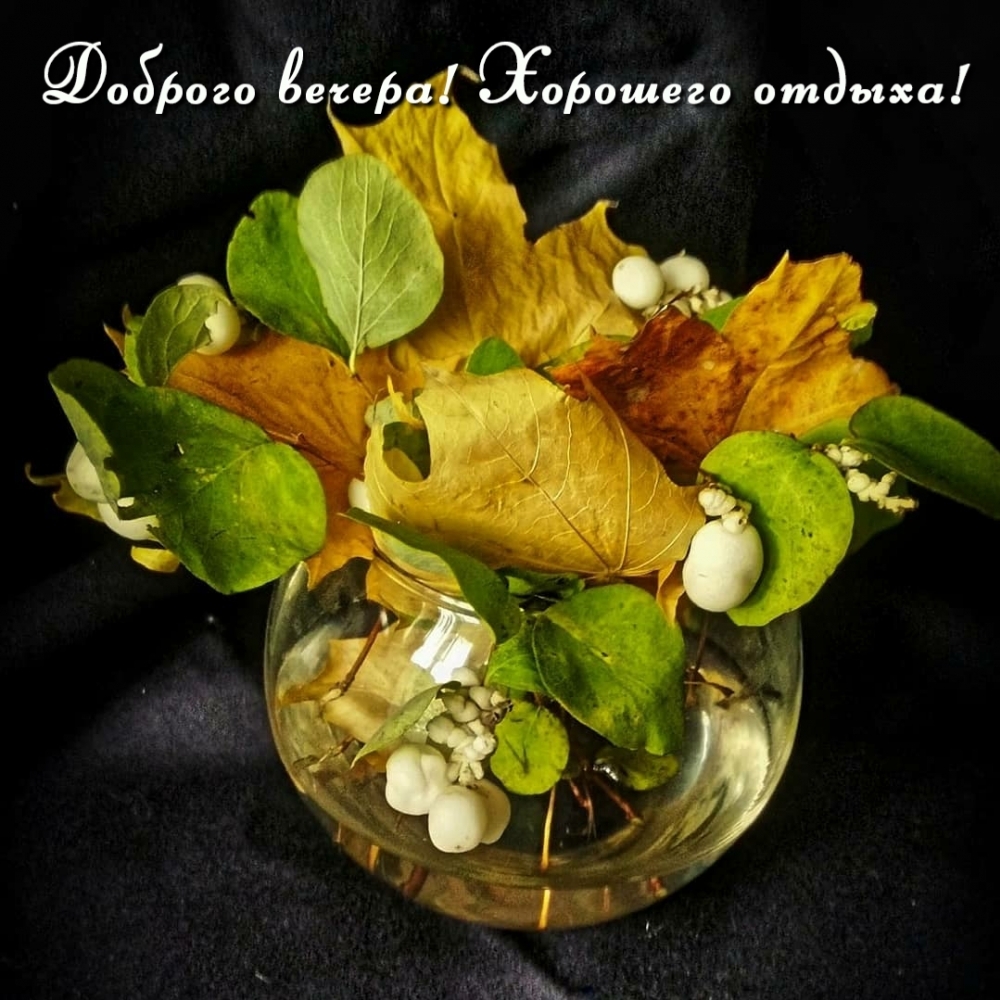 Доброго вечера! Хорошего отдыха!