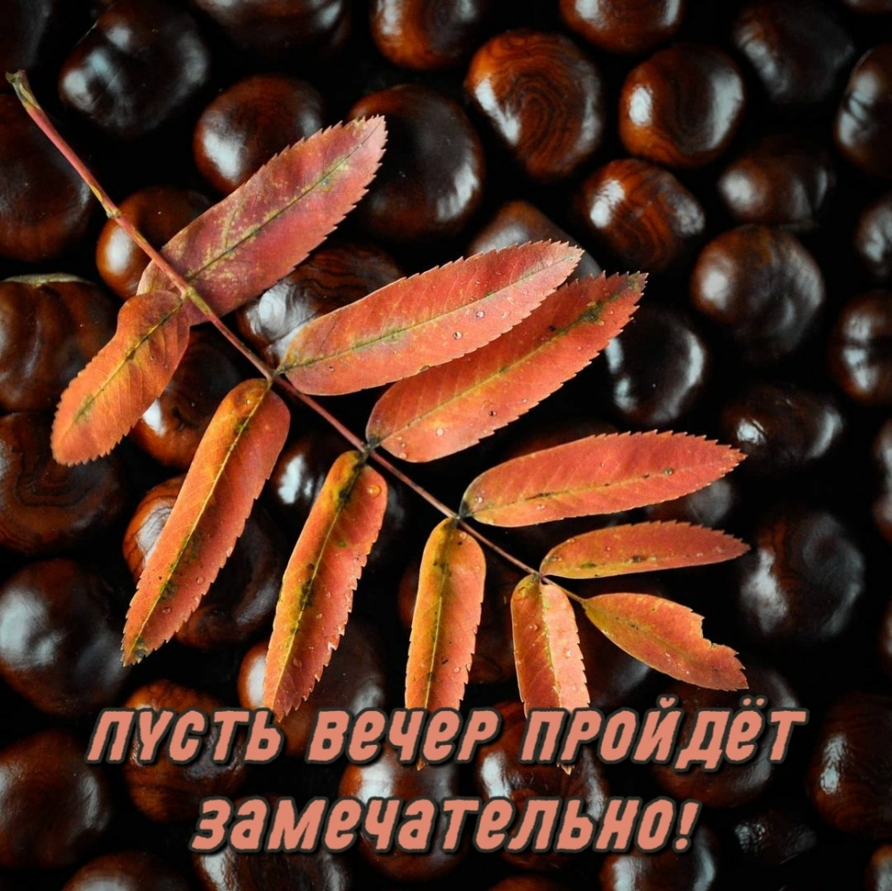 Пусть вечер пройдёт замечательно!